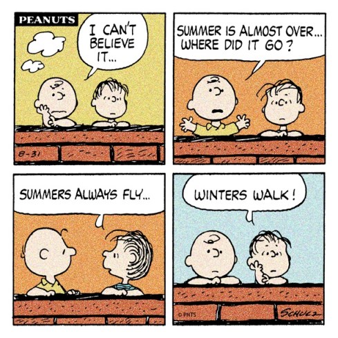 kesä menee siivillä