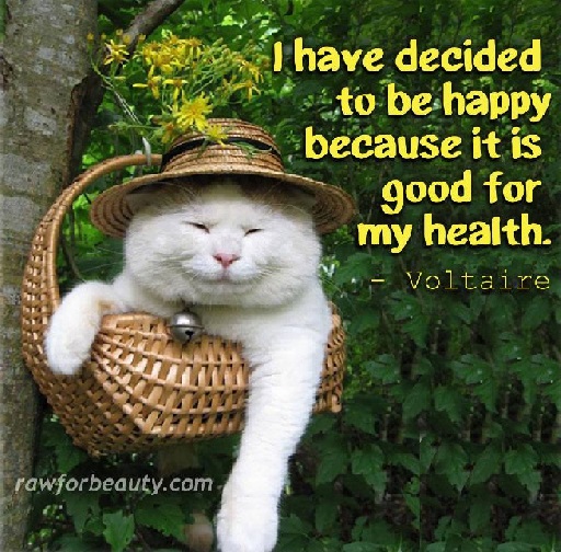 Olen päättänyt olla onnellinen sillä...