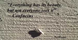 Everything has its beauty...