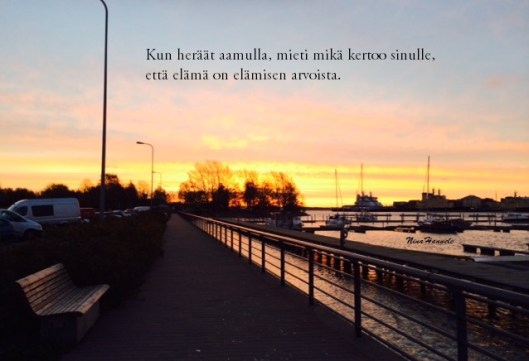 Mikä tekee elämästä elämisen arvoista