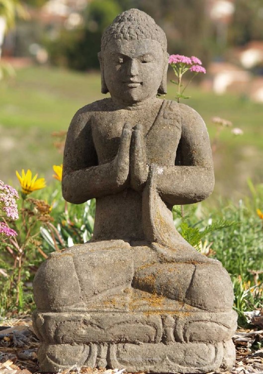 Buddha4