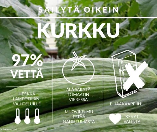 SäilytäKurkkuOikein