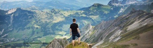 hyvinvointiverkkokurssi